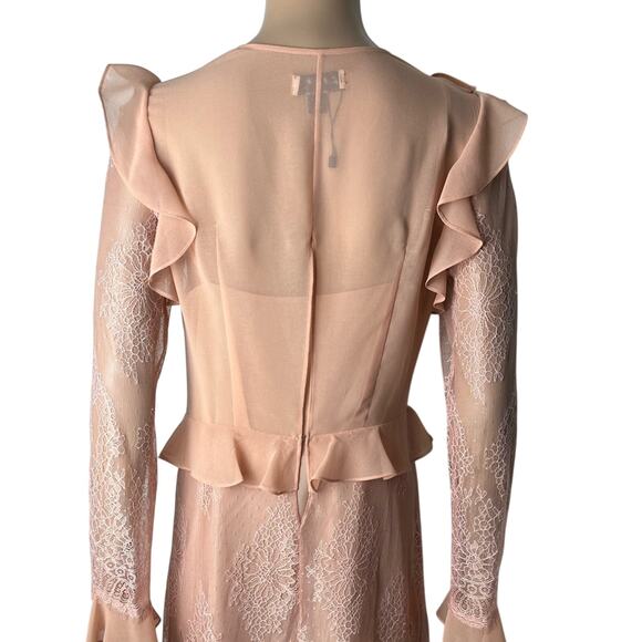 Delfi Collective X Anthropologie Luna Sheer Ruffle Lace Sheath Dress - Picture 9 of 13